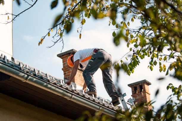 Quick and Trustworthy Emergency Roof Repair Services in St James, MN