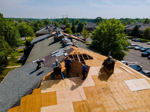 Best Flat Roof Repair Services  in St James, MN