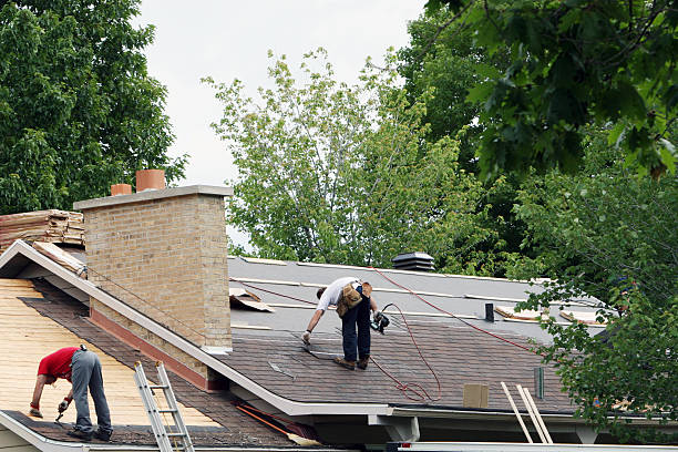 Best Gutter Installation and Roofing  in St James, MN