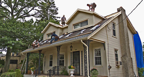 Best New Roof Installation  in St James, MN