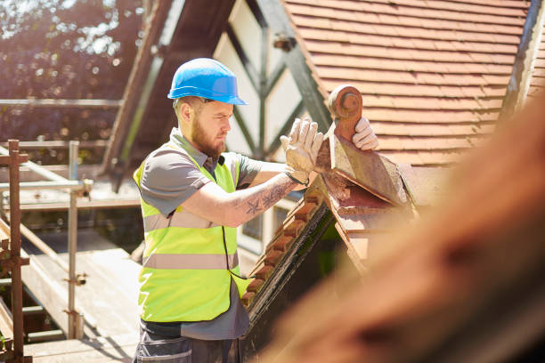Roof Gutter Cleaning in St James, MN