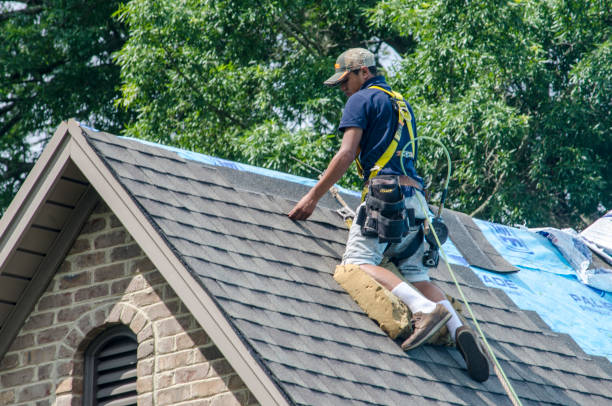 Best Local Roofing Companies  in St James, MN